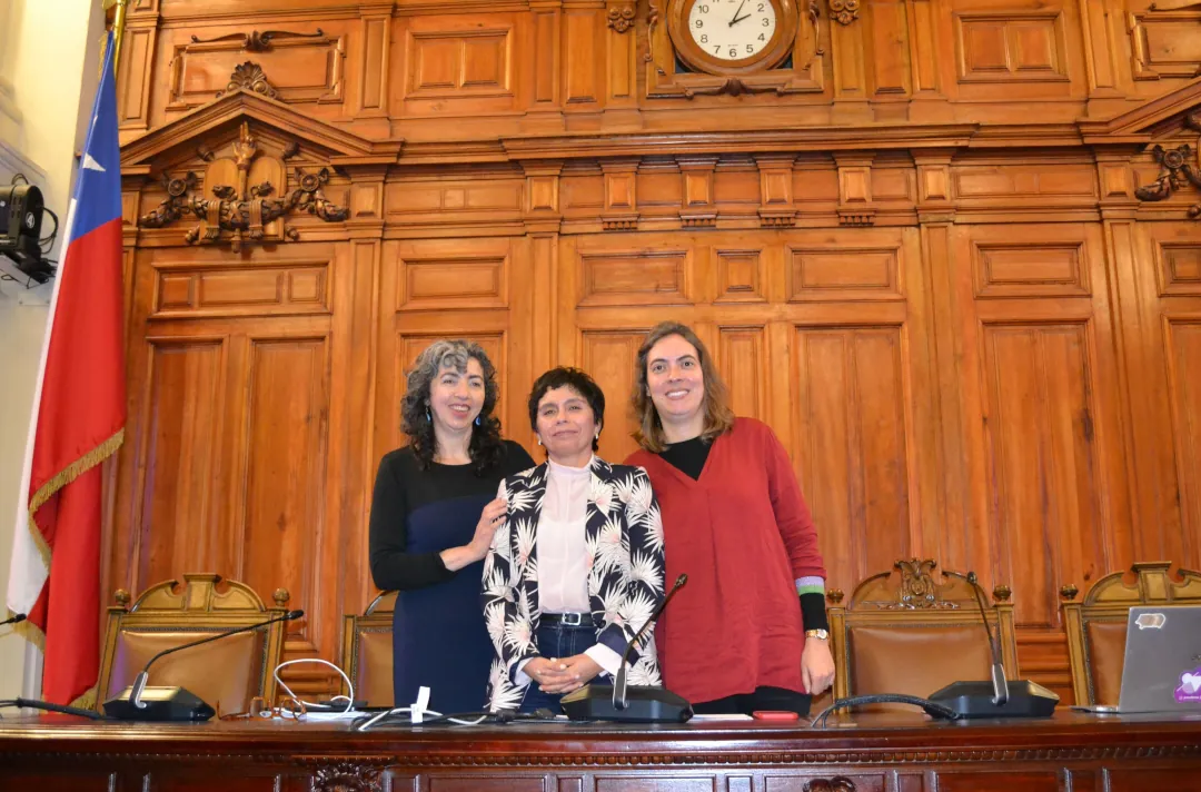 Ciudadanía Inteligente en el 3er Seminario de la Red de Políticas Públicas Chile