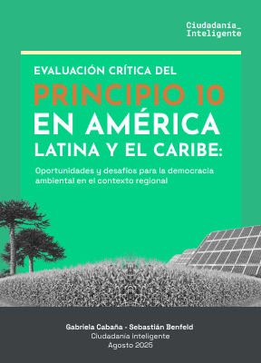 Principio 10 en América Latina y el Caribe (Versión español)